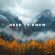Need To Know Single