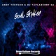 Soul Shaker Single