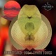 Vol 4 Synth Tones Remastered