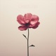 Gratitude Single