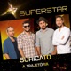 Superstar Suricato A Trajetória