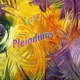 Pleiadians Single