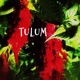 Tulum Single