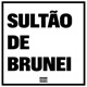 SULTÃO DE BRUNEI feat YoungBrazilianMoney Mc Dieguinho Ambrosio Single