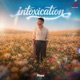 Intoxication Single