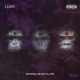 APE SHALL NEVER KILL APE feat Big Lo Single