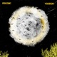 Voodoo Single