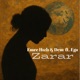 Zarar feat Dem Ego Single