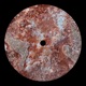 Nailik Ivory EP