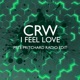 I feel Love Pete Pritchard Radio Mix Single