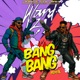 Bang Bang Remix Single