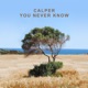 You Never Know Simon Field Remix Single