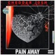 Pain Away feat OB Dustin Taylor Jag Huligin Young Mallie Single
