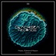 Control Single