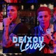 Deixou Se Levar Single