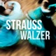Strauss Walzer