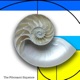 The Fibonacci Sequence