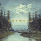 Drvored
