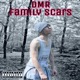 Family Scars Single
