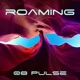 Roaming Single