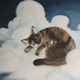 Cat Naps Single