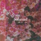 Polaroid feat Kiyo No ia Single