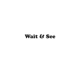 Wait See Single