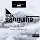 Sanguine Steven Flynn Remix Single