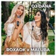 Oj Dana Radio Edit Single
