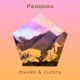 Pandora Single