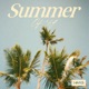 Summer Of 69 Single