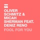 Fool for You feat Deniz Reno EP