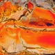 So Clear umru corrosion Single