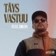 Täys vastuu feat Diison Single