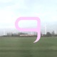 Doves Single