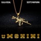 Umshini feat Scotts Maphuma Single