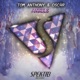Angels Single