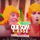 Passarinho Que Som É Esse X Underêre feat Mina de Quebra Single