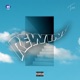 Rewind Single