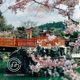 Osaka Single