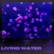 Living Water Single