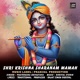 Shri Krishna Sharanam Mamah Single