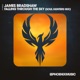 Falling Through The Sky Soul Hunters Mix Single
