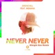 Never Never Giorgio Gee Remix feat Indiiana Single