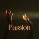 Passion feat Mitch Darrell Single