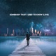 Somebody That I Used to Know Live Single