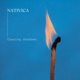 Chasing Shadows Single