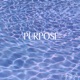 Purpose Single
