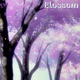 Blossom Single