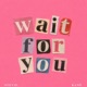 Wait For You Single